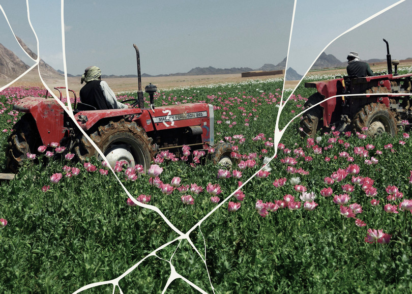 Tractors destroy an illegal poppy field in Afghanistan.
